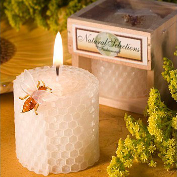 Children's Birthday Party Supp - Candle Supplies Usa review and price